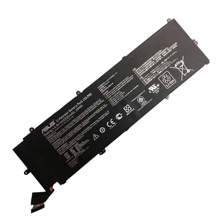 C12-P05 battery