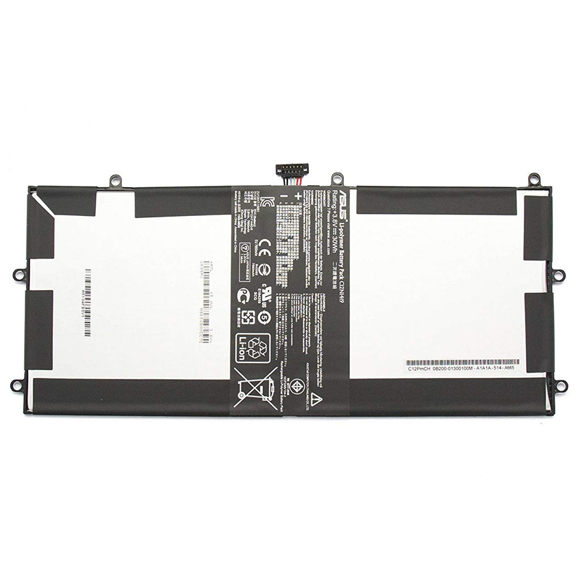 C12N1419 battery